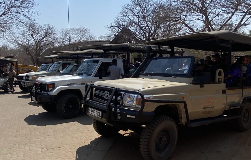 Chobe Day Trip