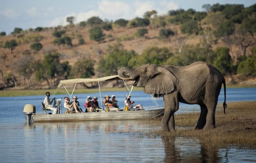 Chobe Day Trip
