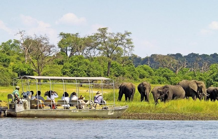 Chobe Day Trip
