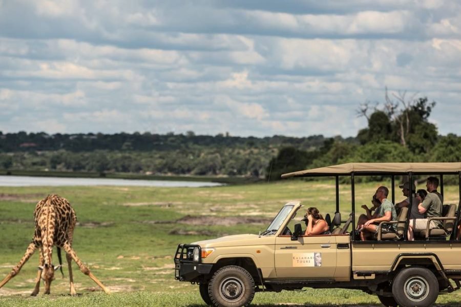 Chobe Day Trip