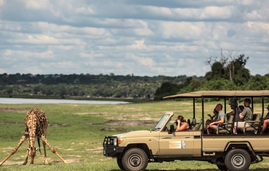 Chobe Day Trip
