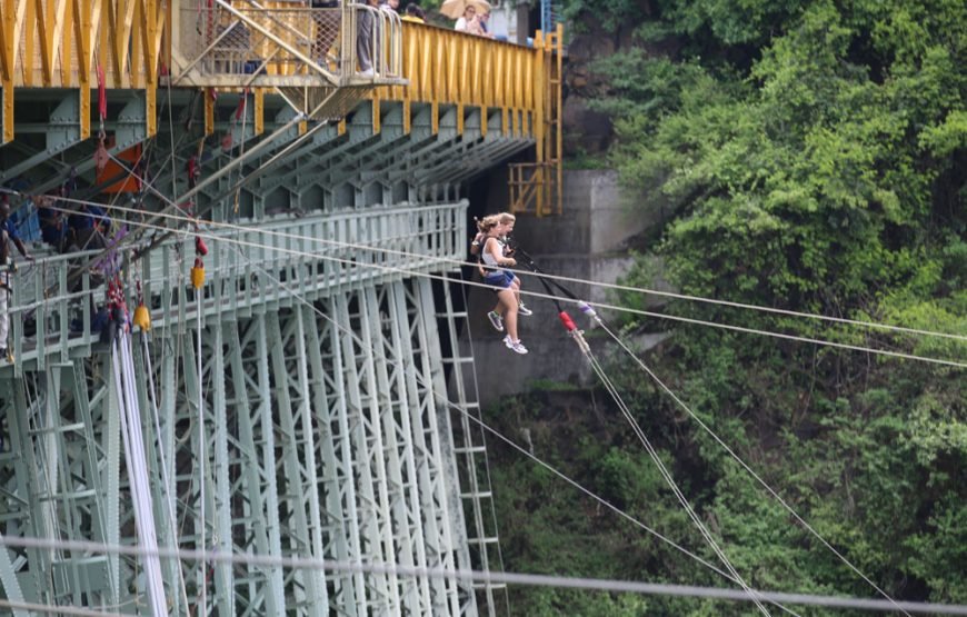 Bungee Jumping