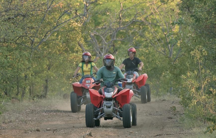 Quad Bike