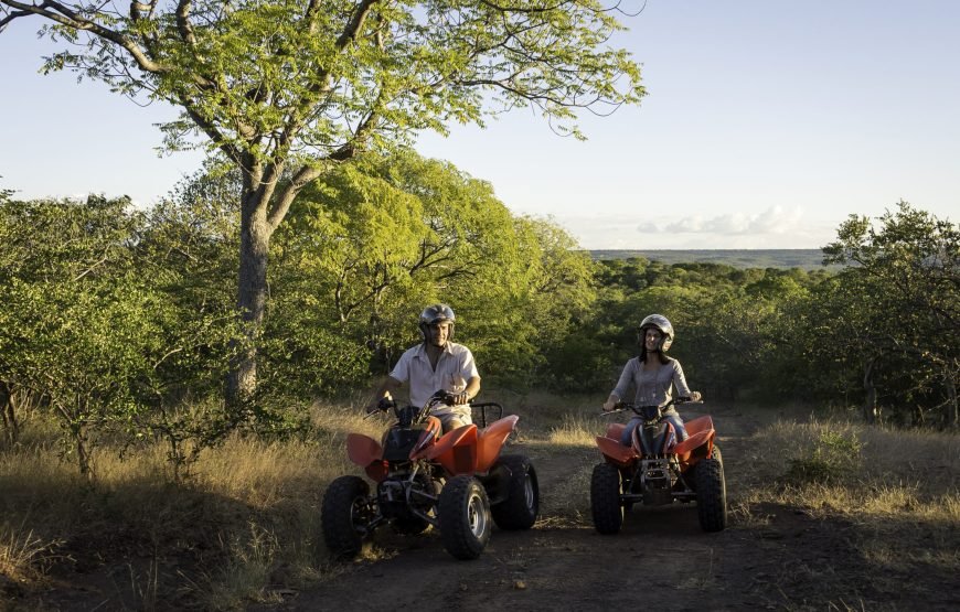 Quad Bike