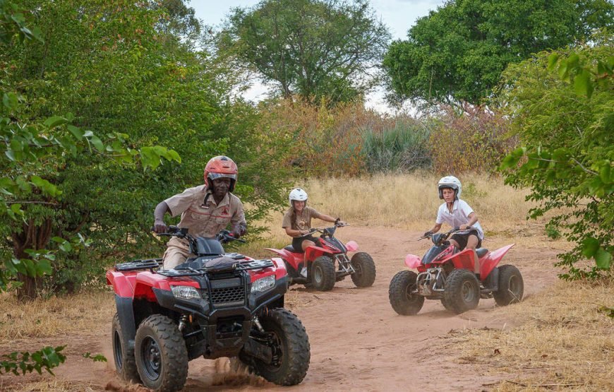 Quad Bike